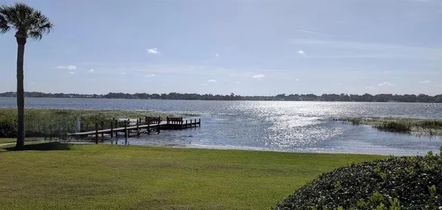 a view of a swimming pool with a chair