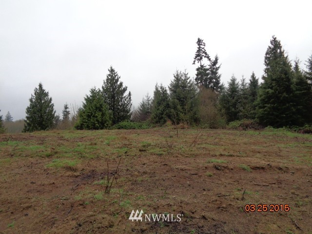 347 Ragland Road Longview, WA 98632 - Photo 5 of 12 Gallery Image 5