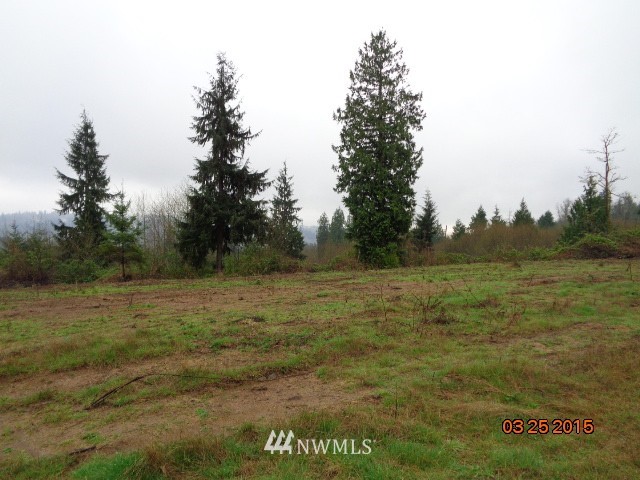 347 Ragland Road Longview, WA 98632 - Photo 7 of 12 Gallery Image 7
