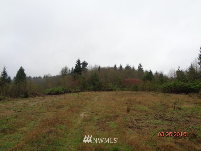 347 Ragland Road Longview, WA 98632 - Photo 8 of 12 Gallery Image 8