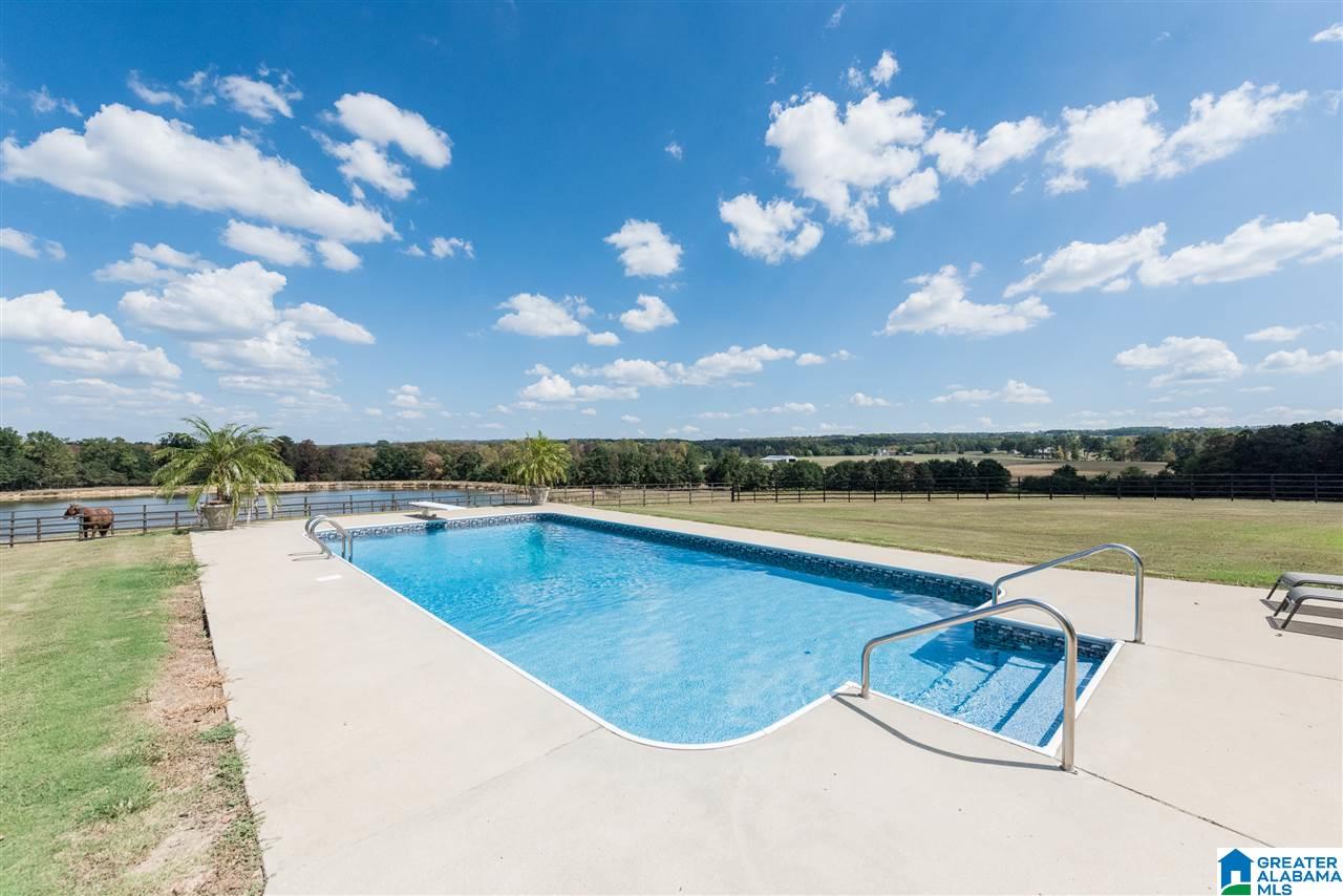 1430 Tidwell Road Altoona, AL 35952 - Photo 40 of 47