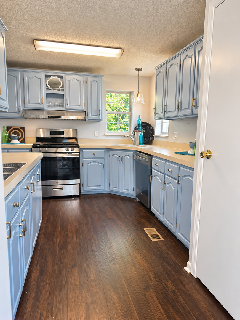 22734 South Ravisloe Lane Frankfort, IL 60423 - Photo 4 of 29 Gallery Image 4