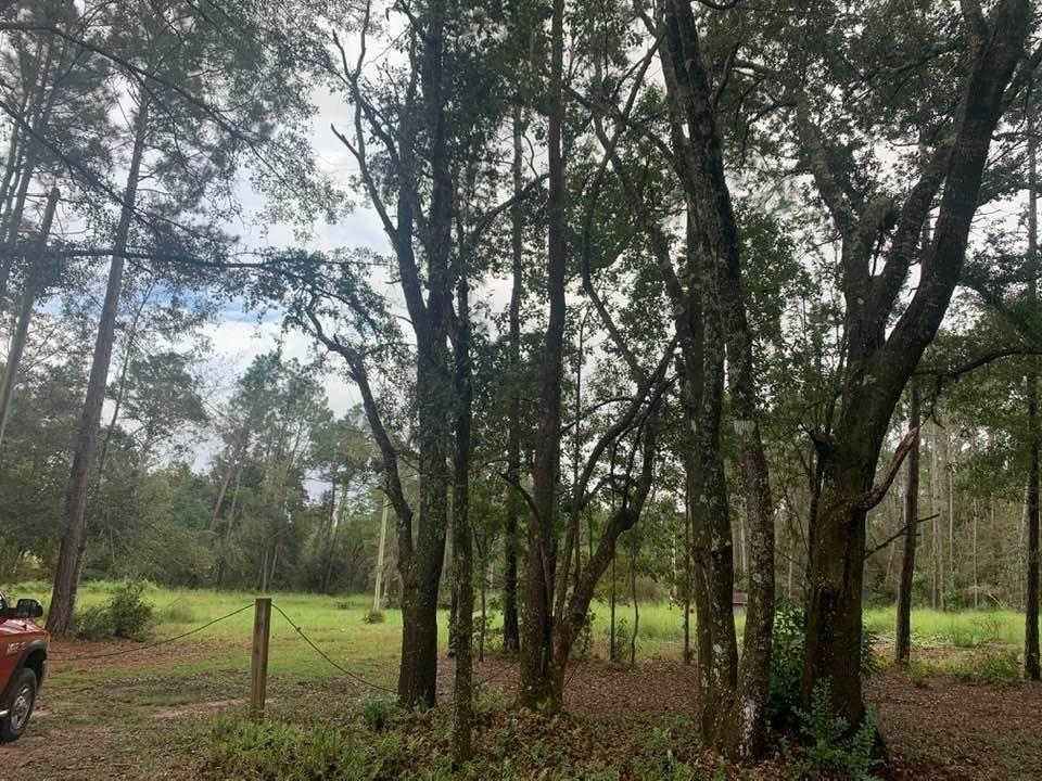 26348 Feely Road Elberta, AL 36530 - Photo 8 of 43