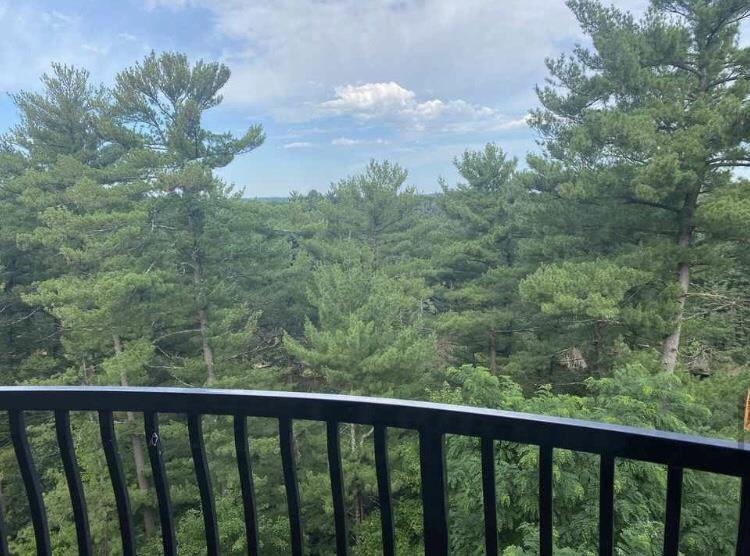 2411 River, Unit 2653 Wisconsin Dells, WI 53965 - Photo 40 of 50