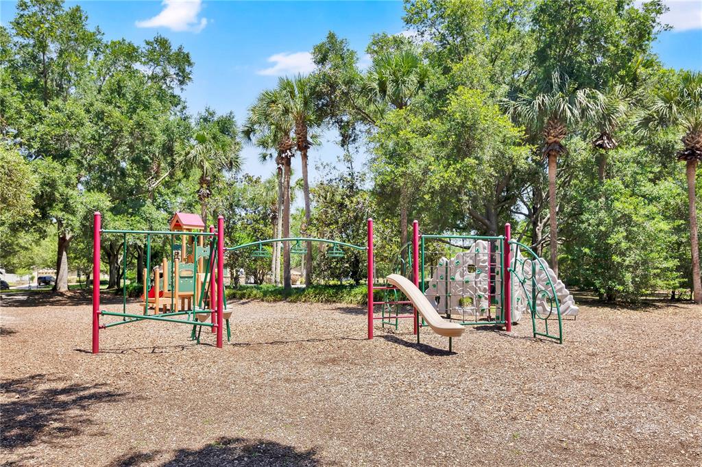 21345 Sullivan Ranch Boulevard Mount Dora, FL 32757 - Photo 62 of 63