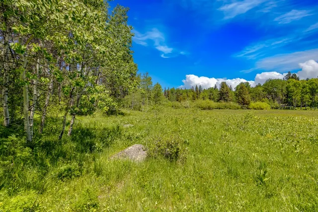 $1,200,000 | 1125 Meadows Road, McCall, ID 83638