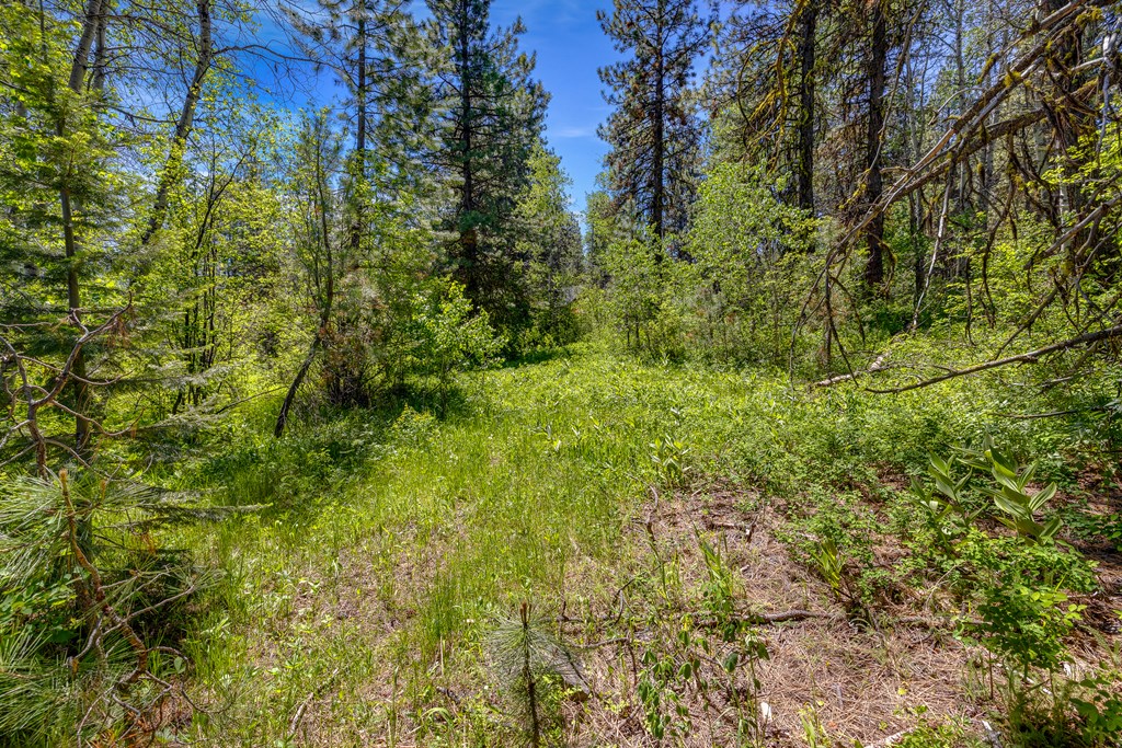 1125 Meadows Road McCall, ID 83638 - Photo 15 of 33