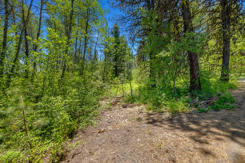 1125 Meadows Road McCall, ID 83638 - Photo 16 of 33