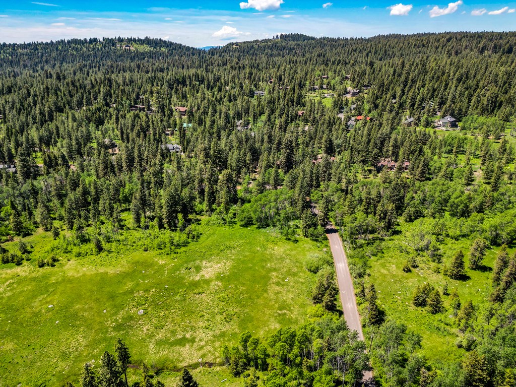 1125 Meadows Road McCall, ID 83638 - Photo 28 of 33