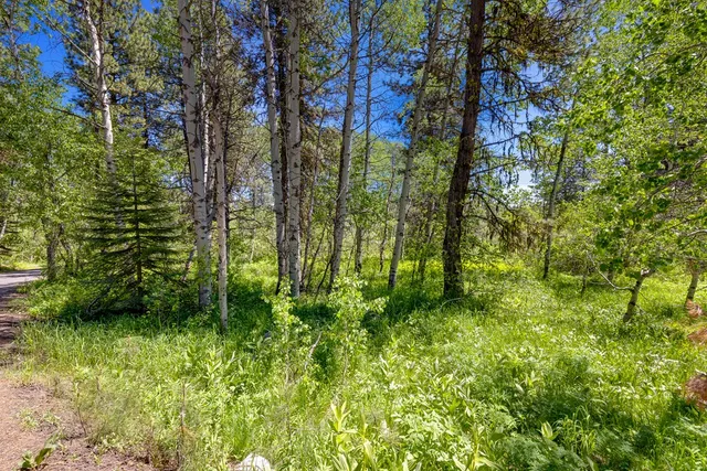 $1,200,000 | 1125 Meadows Road, McCall, ID 83638