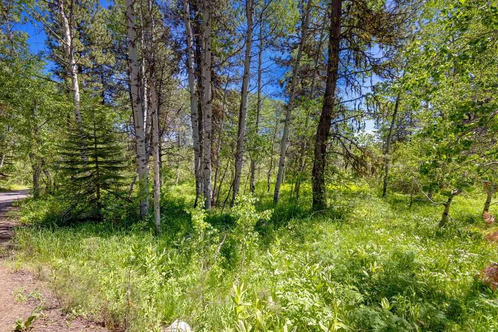 1125 Meadows Road McCall, ID 83638 - Photo 3 of 33