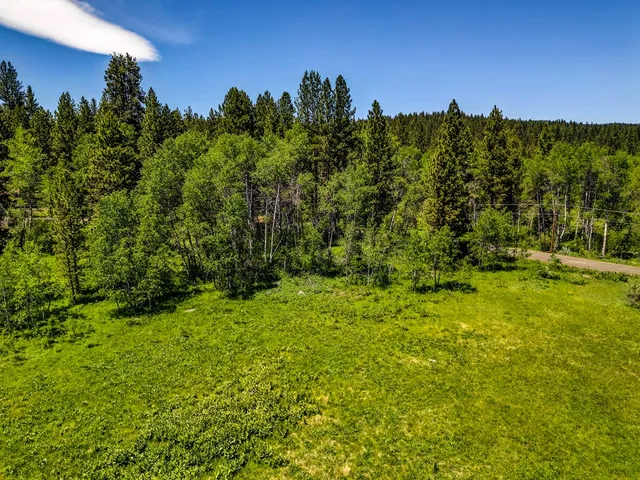 $1,200,000 | 1125 Meadows Road, McCall, ID 83638