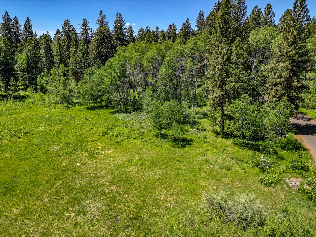 1125 Meadows Road McCall, ID 83638 - Photo 33 of 33