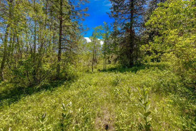 $1,200,000 | 1125 Meadows Road, McCall, ID 83638