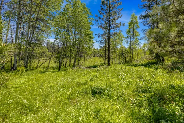 $1,200,000 | 1125 Meadows Road, McCall, ID 83638