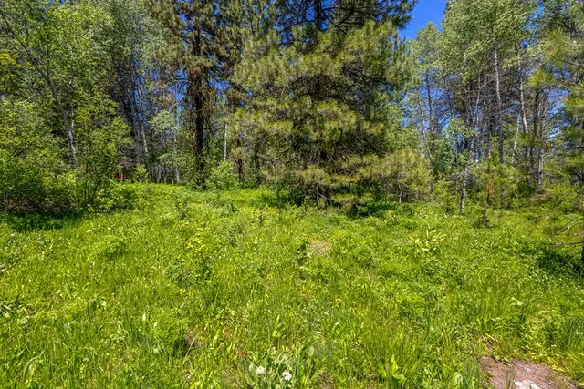 $1,200,000 | 1125 Meadows Road, McCall, ID 83638