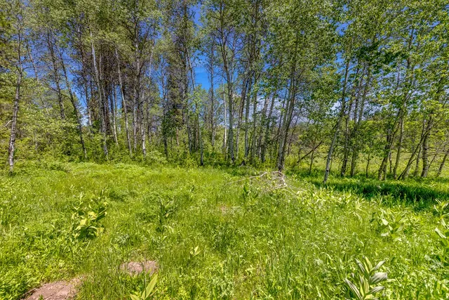 $1,200,000 | 1125 Meadows Road, McCall, ID 83638