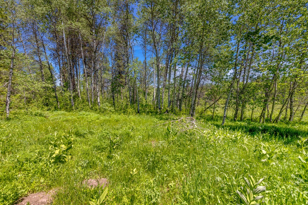 1125 Meadows Road McCall, ID 83638 - Photo 10 of 33