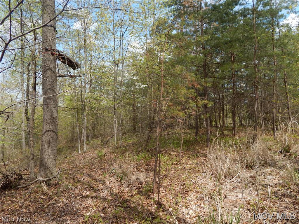 0 Union Ridge Ellenboro, WV 26346 - Photo 18 of 24