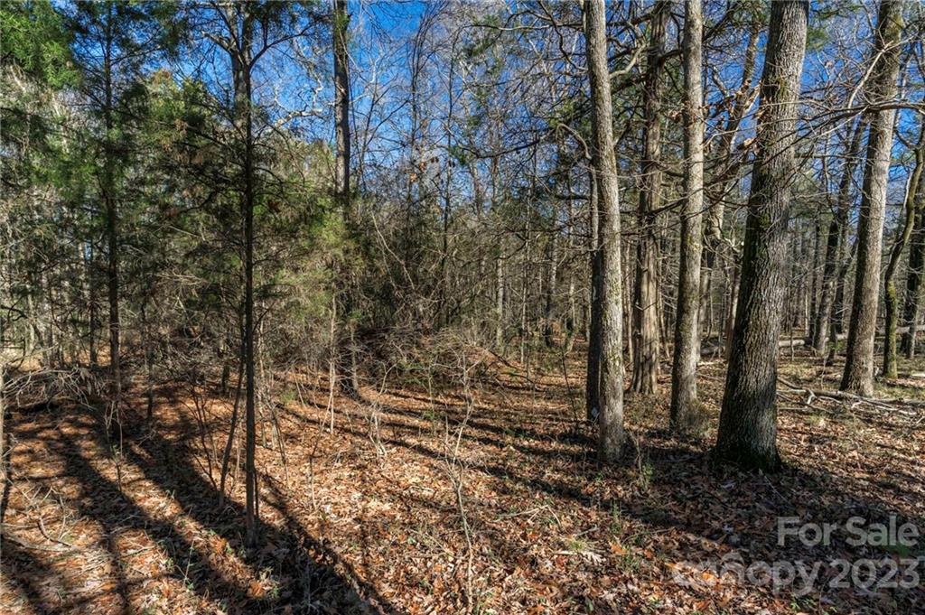 7607 Tesh Road Monroe, NC 28110 - Photo 22 of 31 a view of a yard with lots of bushes