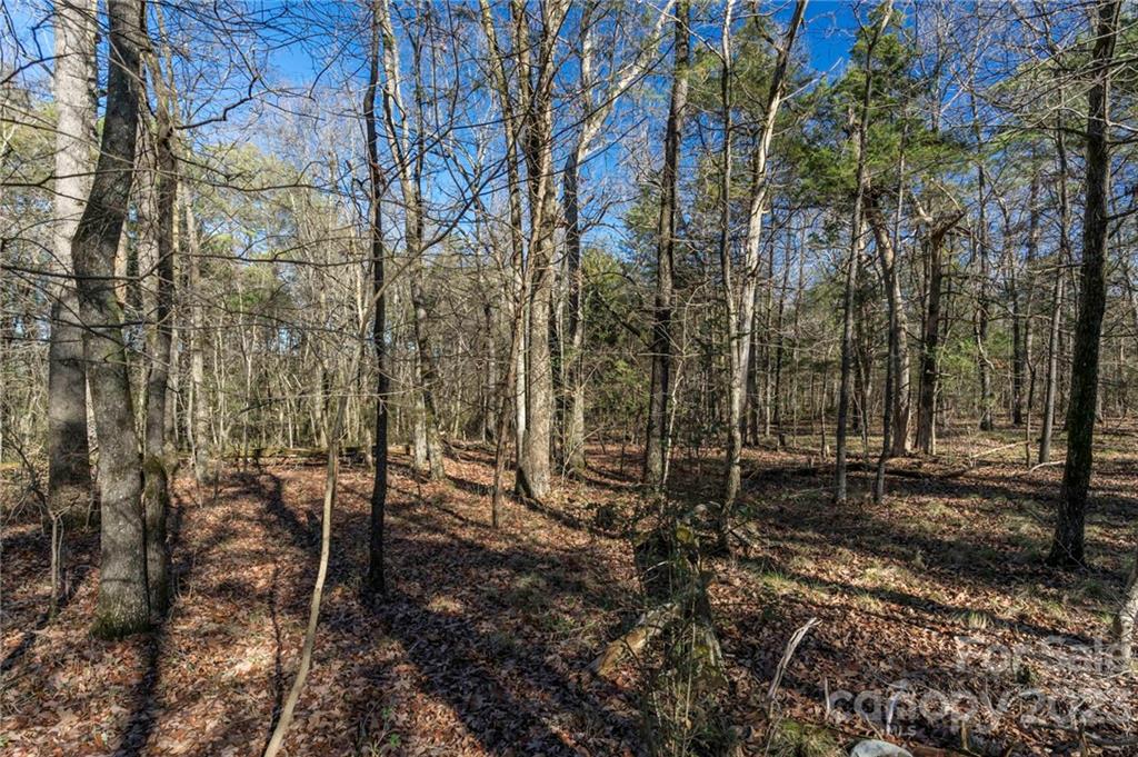 7607 Tesh Road Monroe, NC 28110 - Photo 23 of 31 a backyard of a house with lots of green space