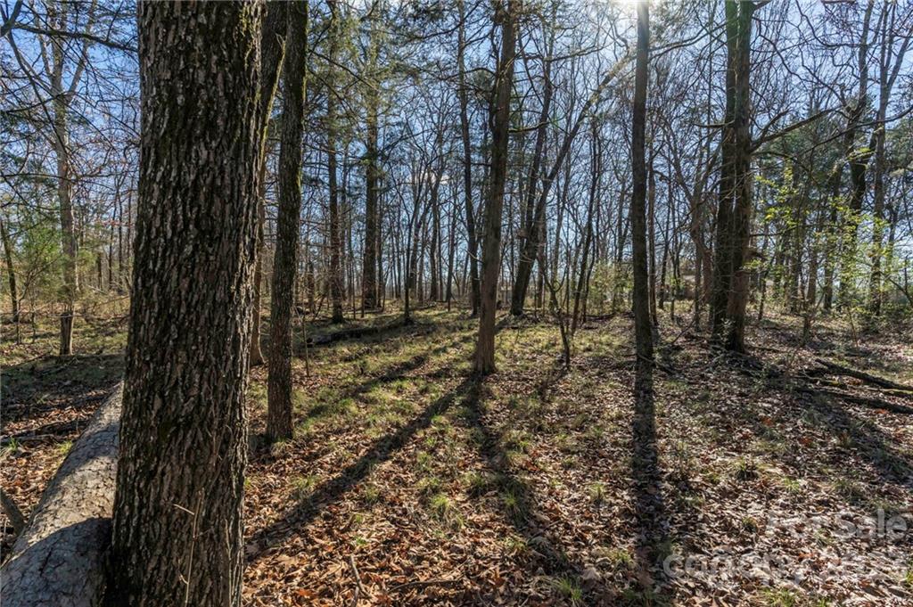 7607 Tesh Road Monroe, NC 28110 - Photo 24 of 31 a view of outdoor space with lots of trees