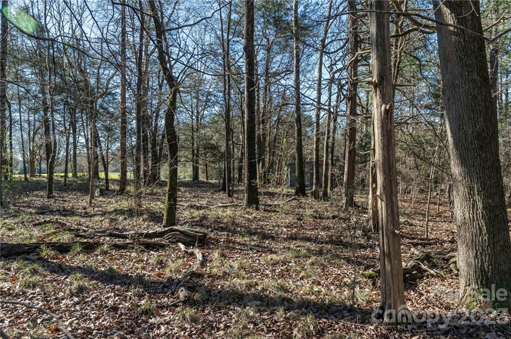 7607 Tesh Road Monroe, NC 28110 - Photo 25 of 31 a view of outdoor space with lots of trees