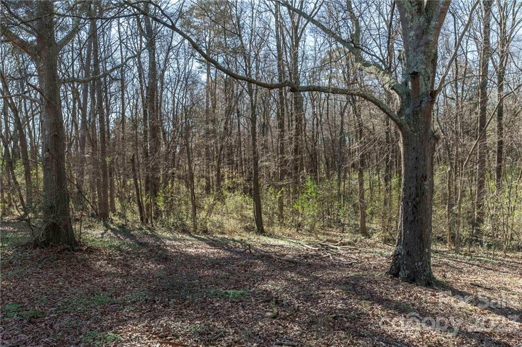 7607 Tesh Road Monroe, NC 28110 - Photo 29 of 31 a view of covered with trees