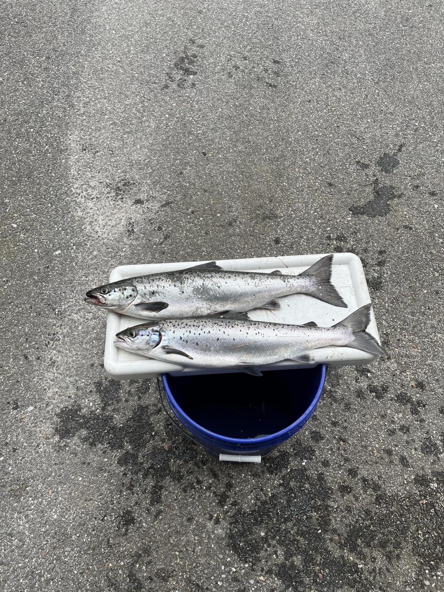 63 George Hannon Road Casco, ME 04015 - Photo 98 of 127 Fishing