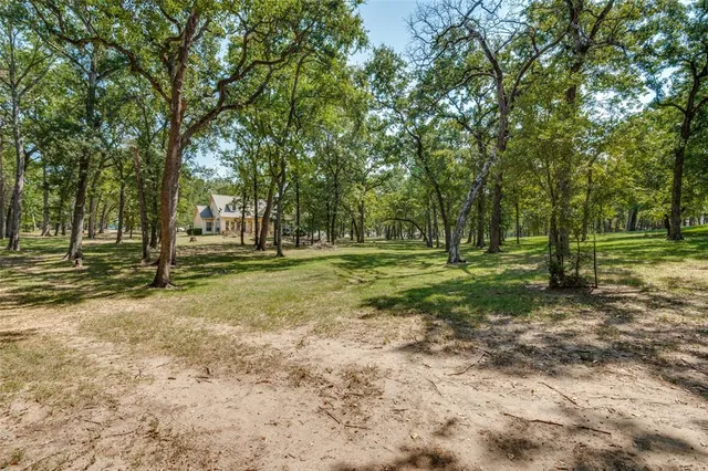 a view of outdoor space with trees all around