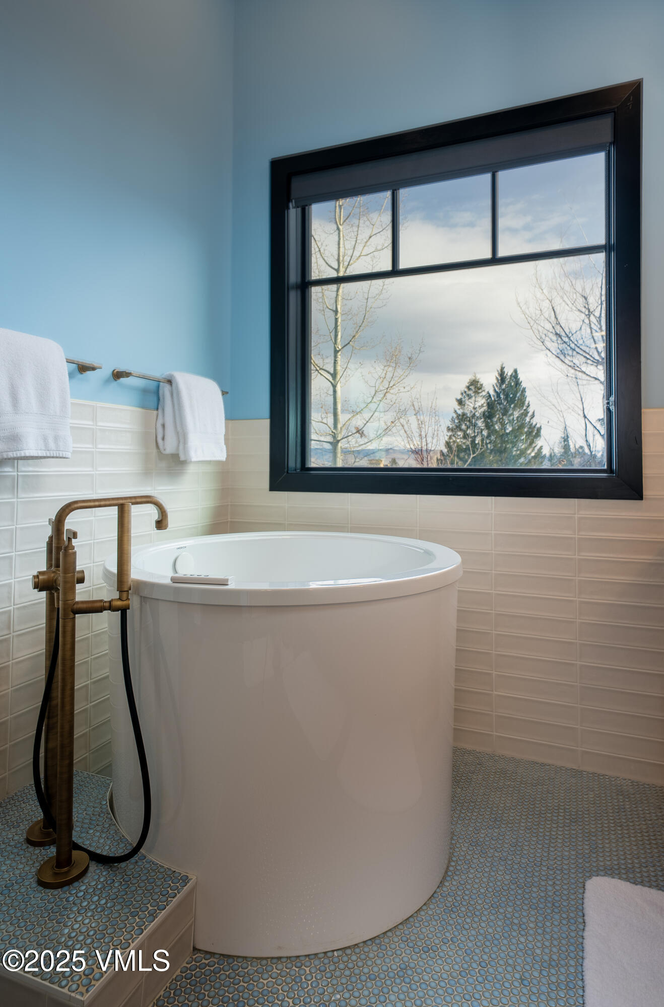 533 Settlers Loop Edwards, CO 81632 - Photo 8 of 29 a white bath tub sitting next to a white wall