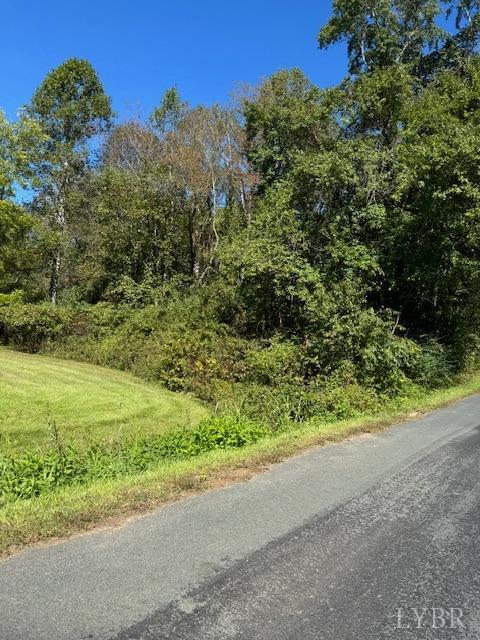 3535 Cabell Road Wingina, VA 24599 - Photo 6 of 11 Gallery Image 6