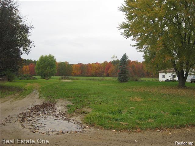 24030 Elwell Road Belleville, MI 48111 - Photo 4 of 12 Gallery Image 4