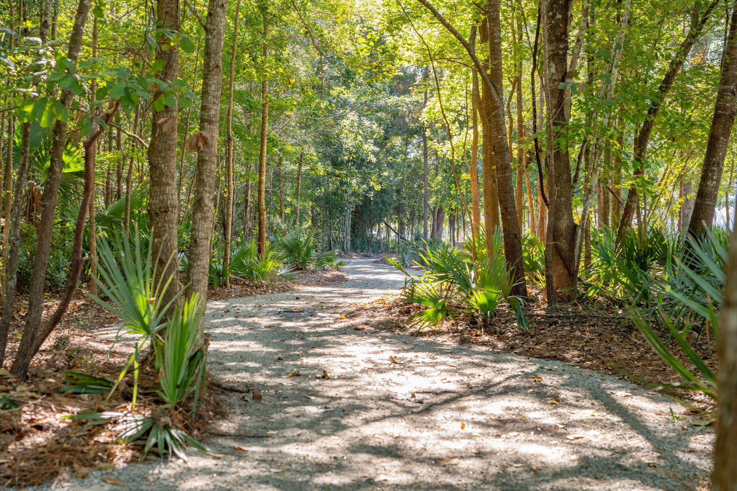 1663 Cultivation Lane, Unit 455 Mount Pleasant, SC 29466 - Photo 143 of 178 1485CultivationLn-KeenEyeMarketing-026 -