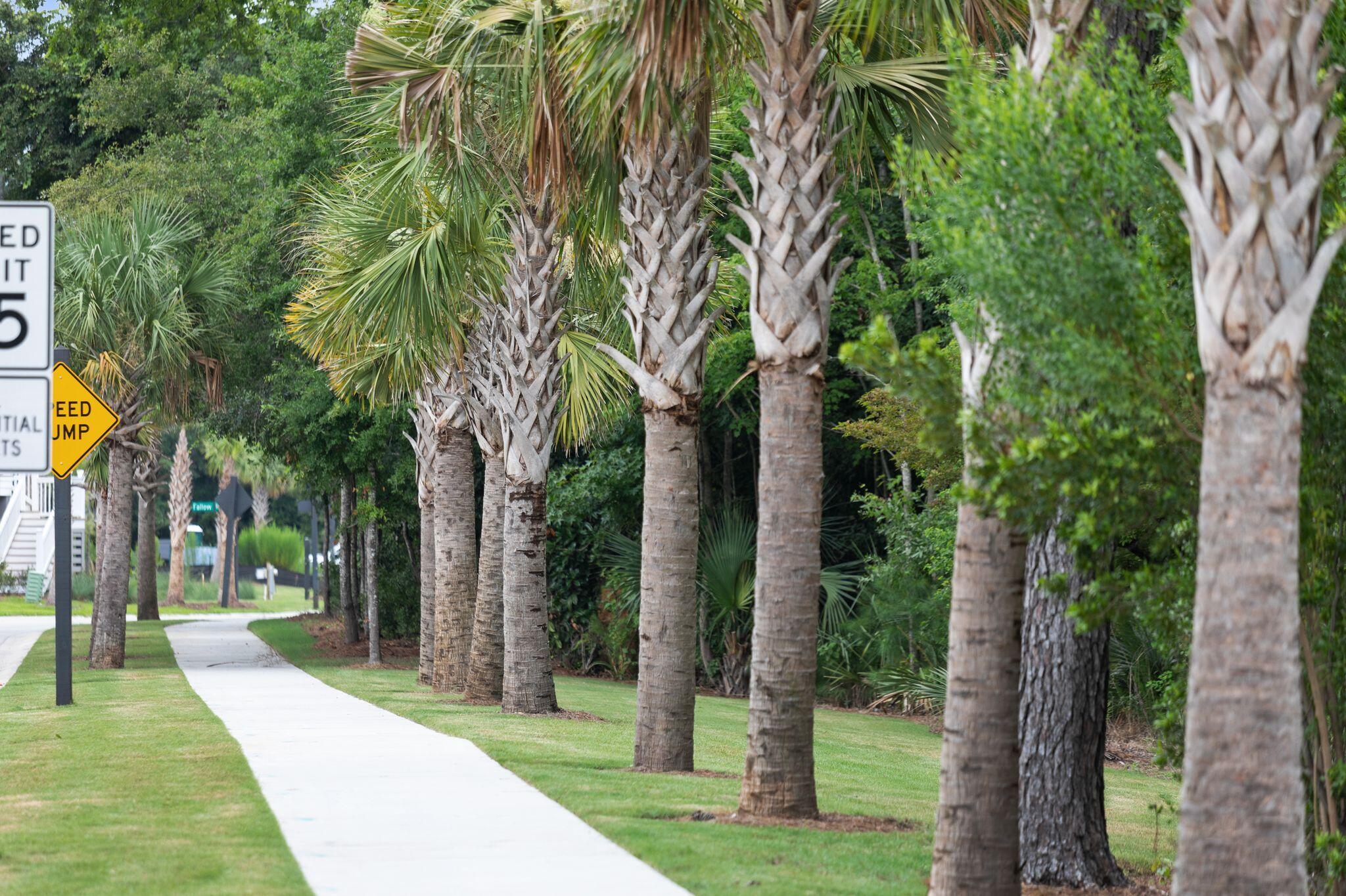 1663 Cultivation Lane, Unit 455 Mount Pleasant, SC 29466 - Photo 98 of 178 1498NorthLakeshoreDr-KeenEyeMarketing-60