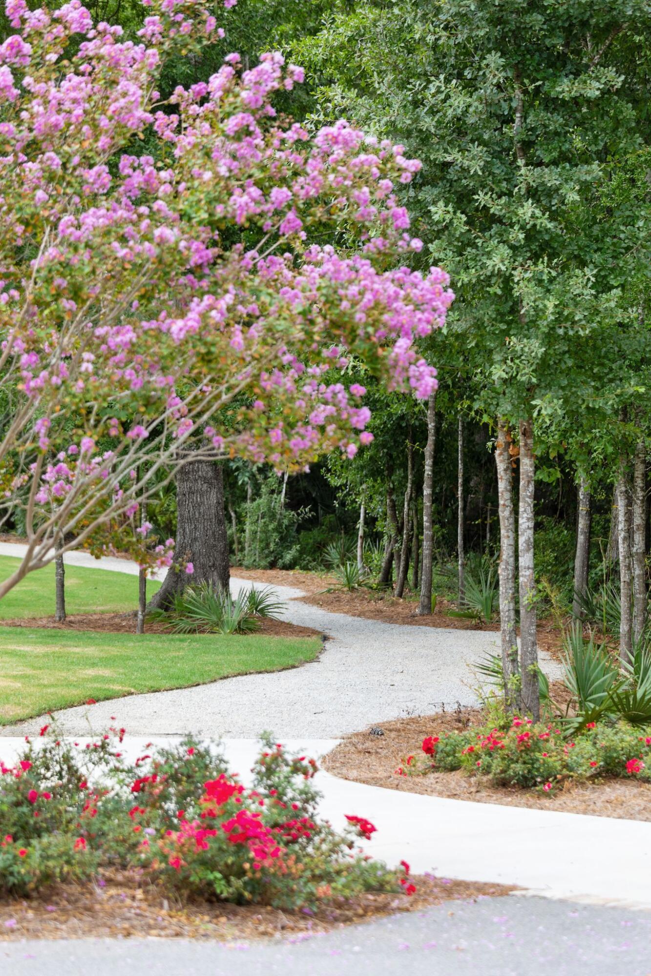 1663 Cultivation Lane, Unit 455 Mount Pleasant, SC 29466 - Photo 99 of 178 1498NorthLakeshoreDr-KeenEyeMarketing-62