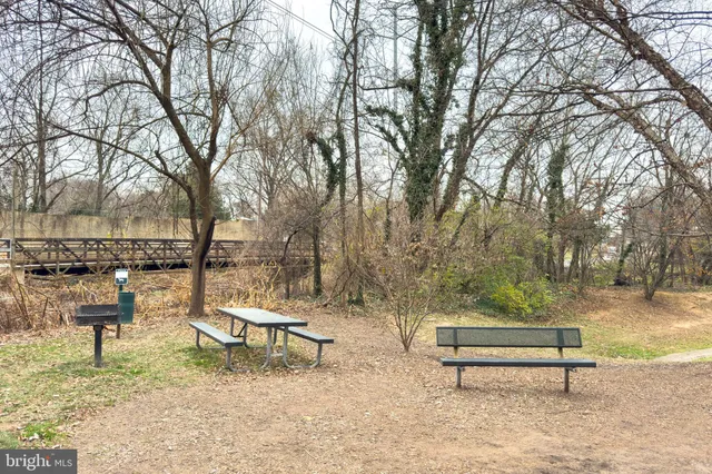 a view of a park with large trees