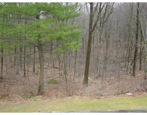 167 Annie Moore Road Bolton, MA 01740 - Photo 14 of 14 Gallery Image 14