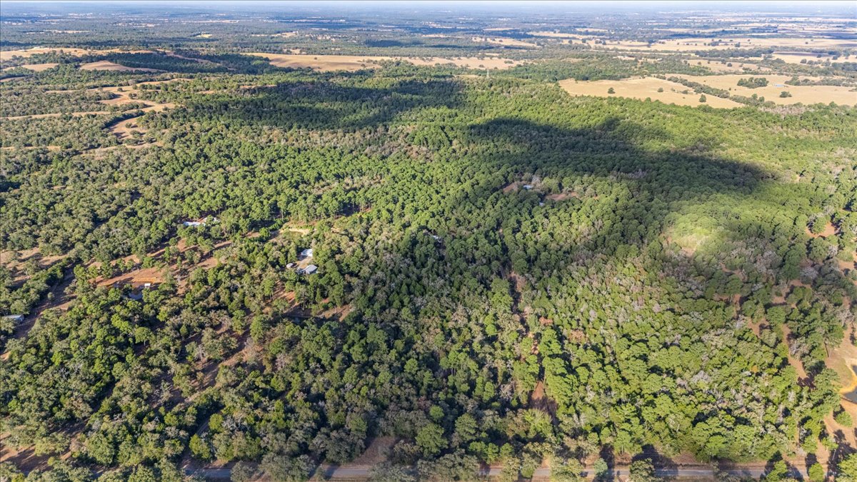 360 Copeland Hill Road, Unit 3B Smithville, TX 78957 - Photo 2 of 10 a view of a lake with a mountain