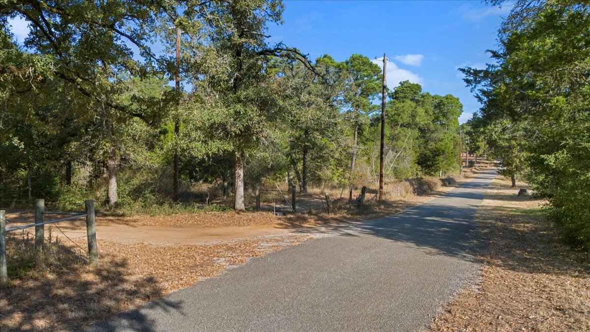 360 Copeland Hill Road, Unit 3B Smithville, TX 78957 - Photo 6 of 10 a view of road with trees