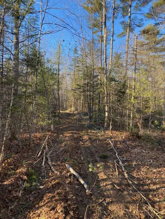 $55,000 | P/o M2-l31 P/o M2-l31 Walker Road, Madison, ME 04950