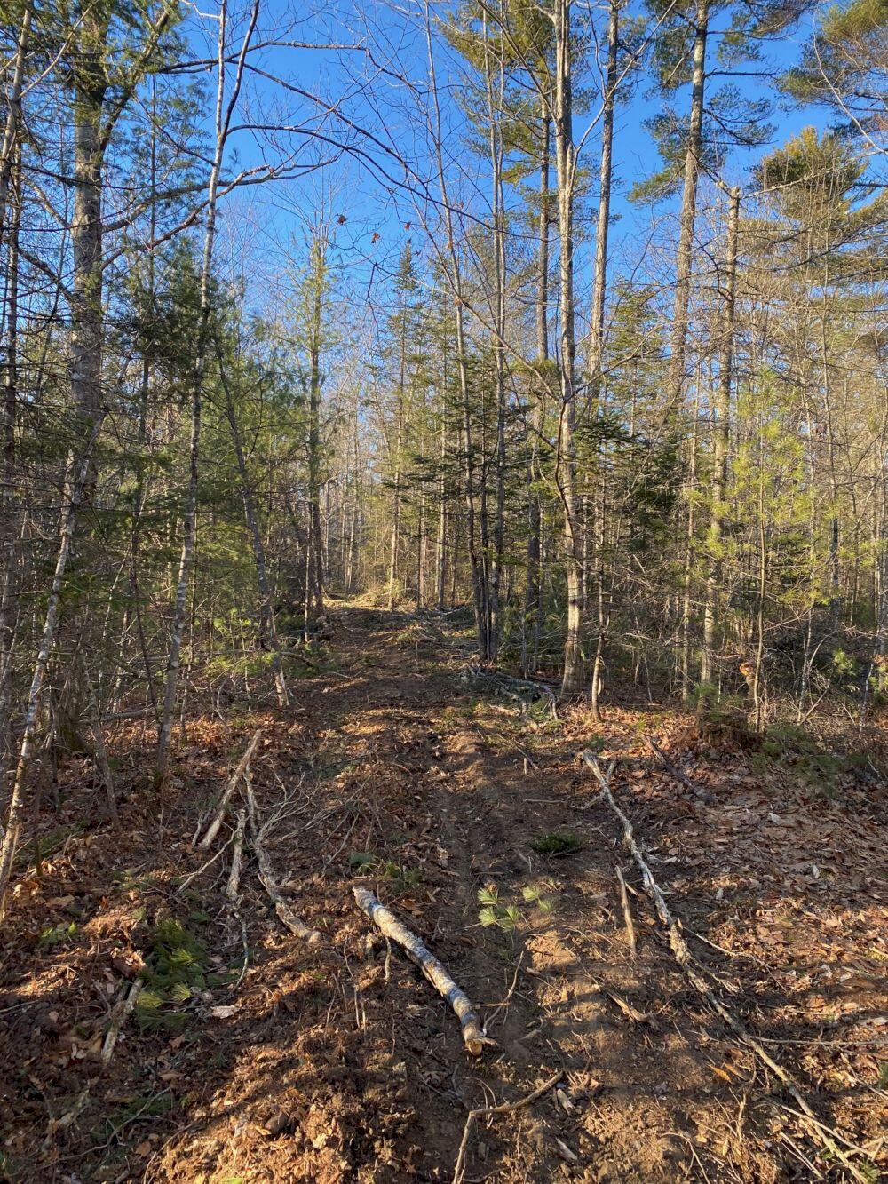 P/o M2-l31 P/o M2-l31 Walker Road Madison, ME 04950 - Photo 11 of 16 IMG_5990