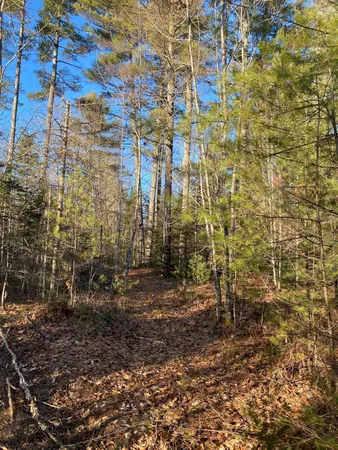 $55,000 | P/o M2-l31 P/o M2-l31 Walker Road, Madison, ME 04950