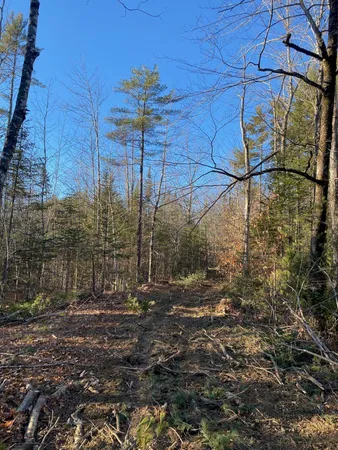 $55,000 | P/o M2-l31 P/o M2-l31 Walker Road, Madison, ME 04950
