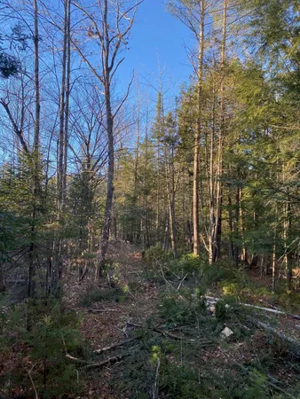 $55,000 | P/o M2-l31 P/o M2-l31 Walker Road, Madison, ME 04950