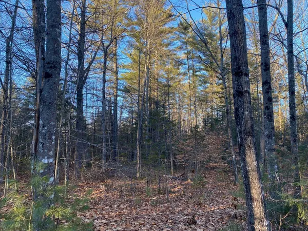 $55,000 | P/o M2-l31 P/o M2-l31 Walker Road, Madison, ME 04950