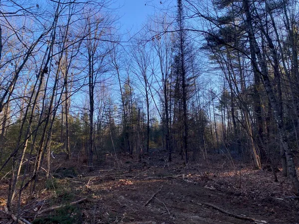 $55,000 | P/o M2-l31 P/o M2-l31 Walker Road, Madison, ME 04950