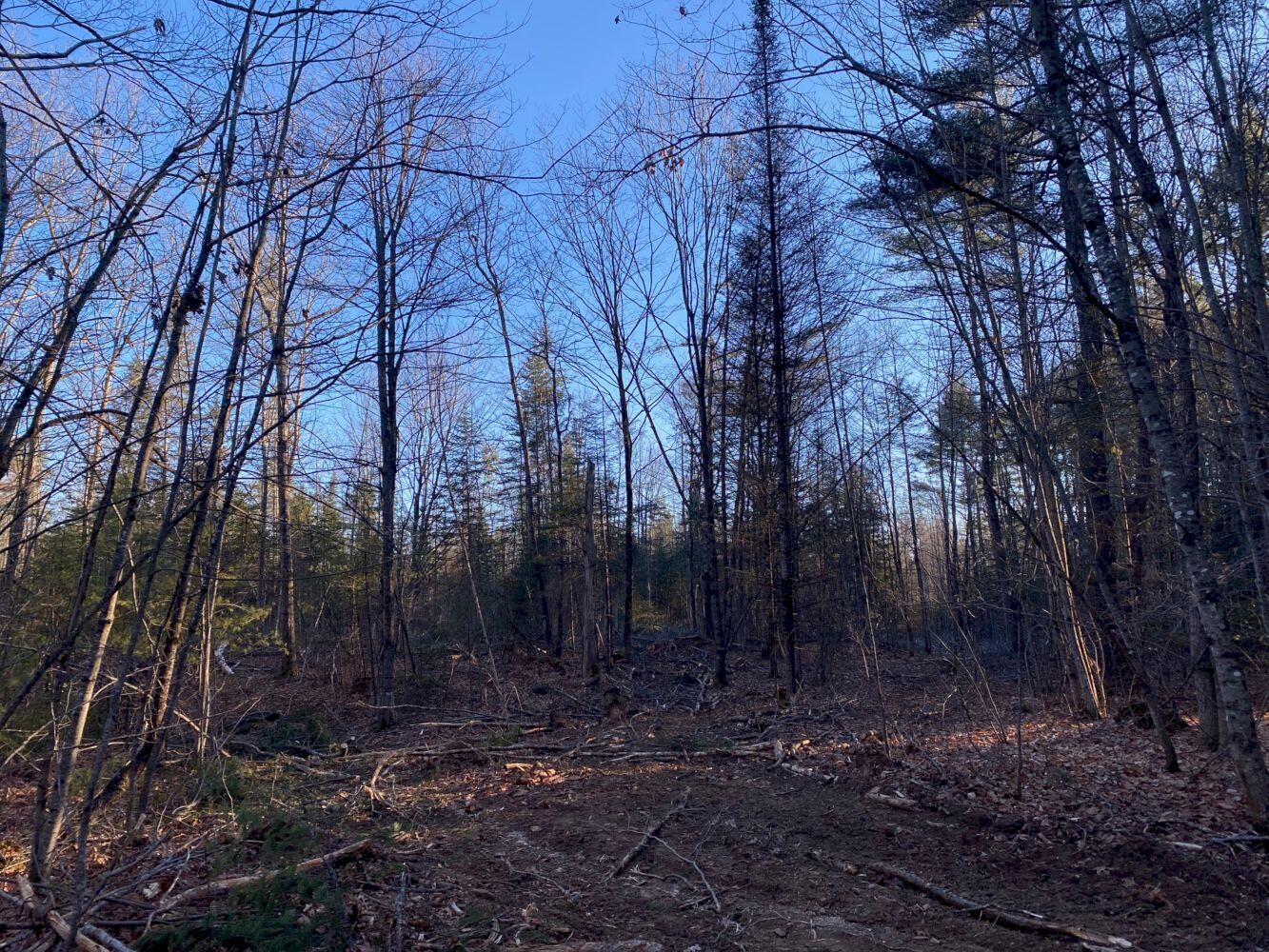 P/o M2-l31 P/o M2-l31 Walker Road Madison, ME 04950 - Photo 16 of 16 IMG_5995