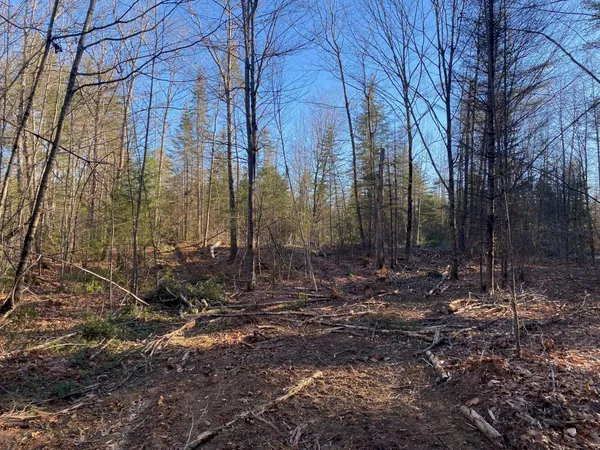 $55,000 | P/o M2-l31 P/o M2-l31 Walker Road, Madison, ME 04950