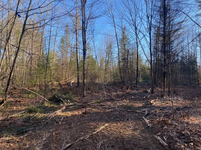 $55,000 | P/o M2-l31 P/o M2-l31 Walker Road, Madison, ME 04950